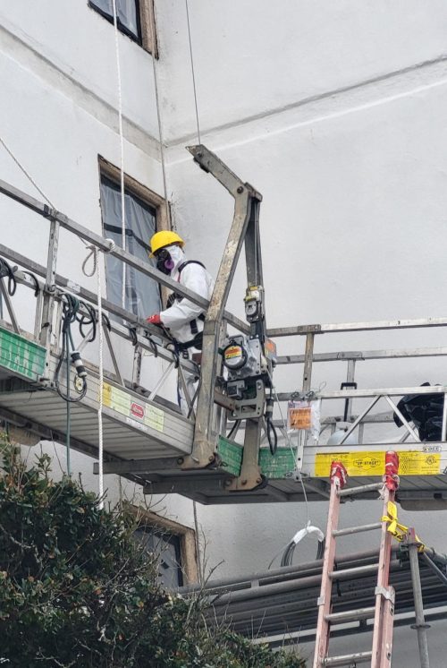 Georgia on scaffold